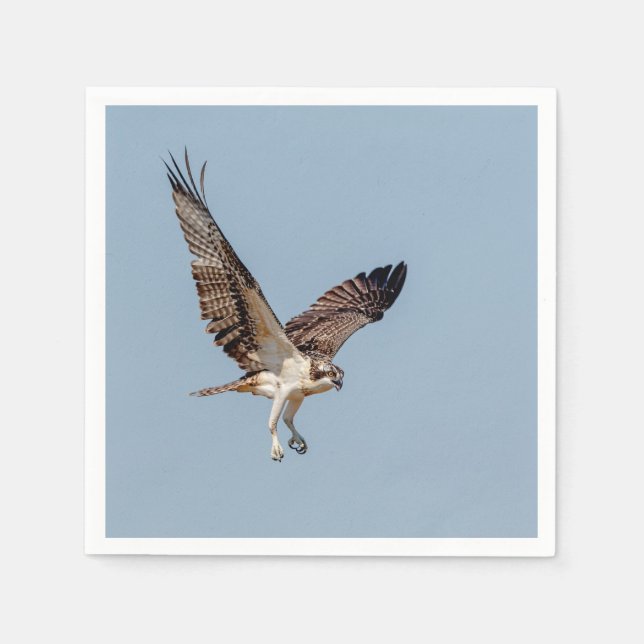 Juvenile Osprey in flight Paper Napkins (Front)