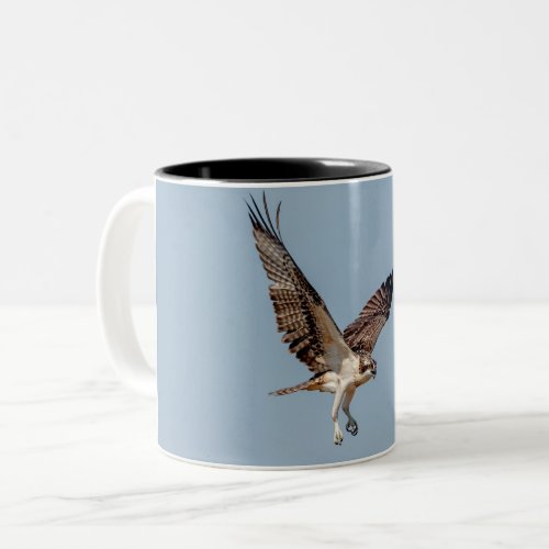 Juvenile Osprey in flight Two_Tone Coffee Mug