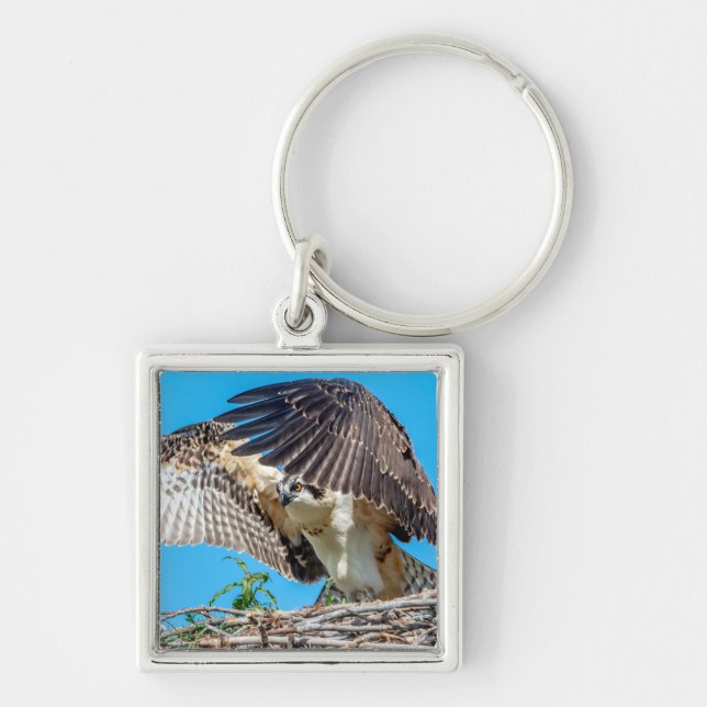Juvenile Osprey in the nest Keychain (Front)
