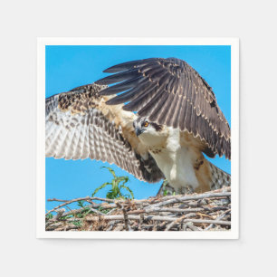 Juvenile Osprey in the nest Paper Napkins