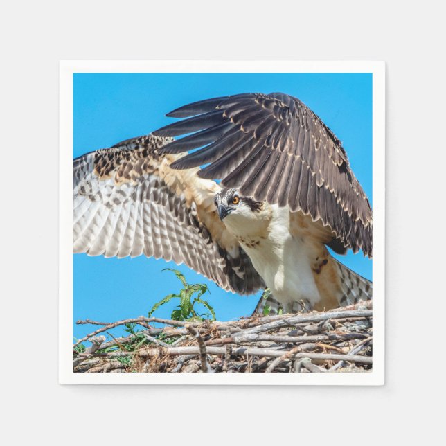 Juvenile Osprey in the nest Paper Napkins (Front)