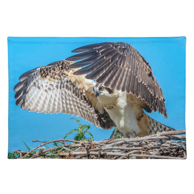 Juvenile Osprey in the nest Placemat (Front)