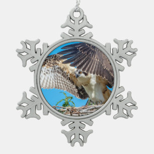 Juvenile Osprey in the nest Snowflake Pewter Christmas Ornament