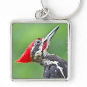 Juvenile Pileated Woodpecker Profile Gifts Apparel Keychain