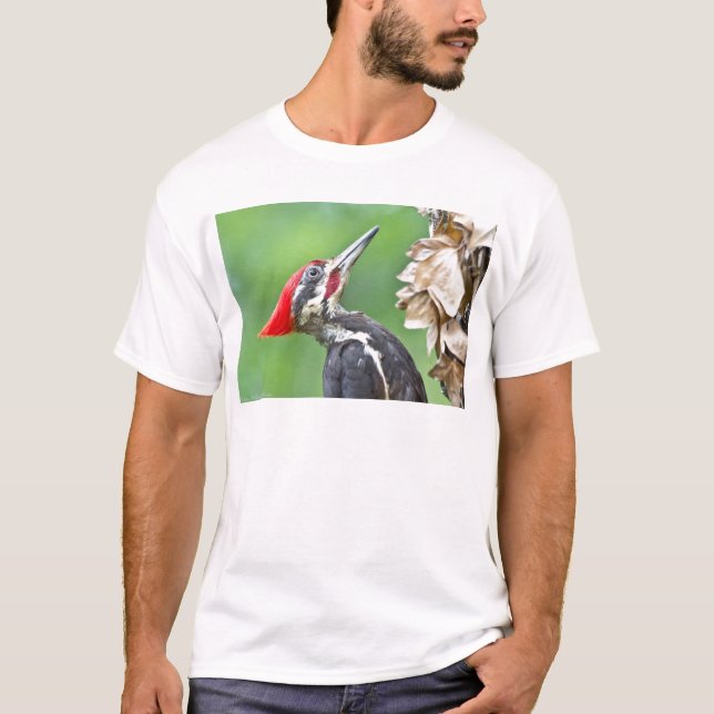 Juvenile Pileated Woodpecker Profile Gifts Apparel T-Shirt (Front)