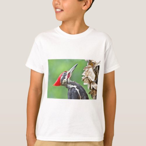 Juvenile Pileated Woodpecker Profile Gifts Apparel T_Shirt