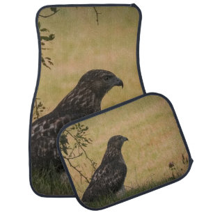 Juvenile Red Tail Hawk Car Floor Mat