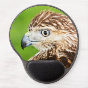 Juvenile Red Tailed Hawk Gel Mouse Pad