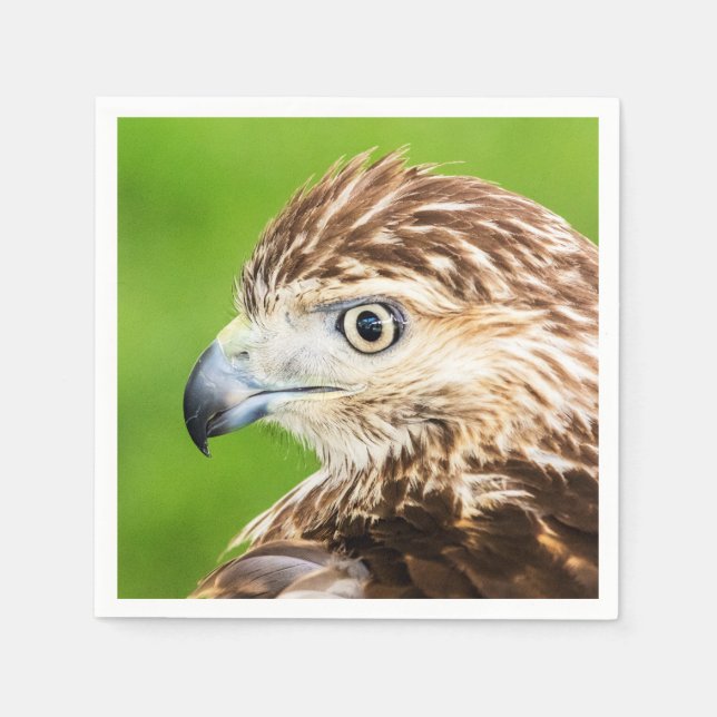Juvenile Red Tailed Hawk Paper Napkins (Front)