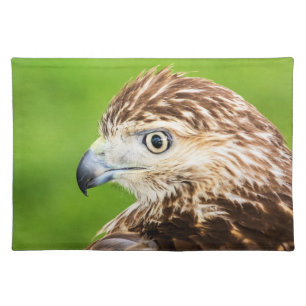 Juvenile Red Tailed Hawk Placemat