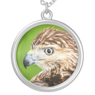 Juvenile Red Tailed Hawk Silver Plated Necklace