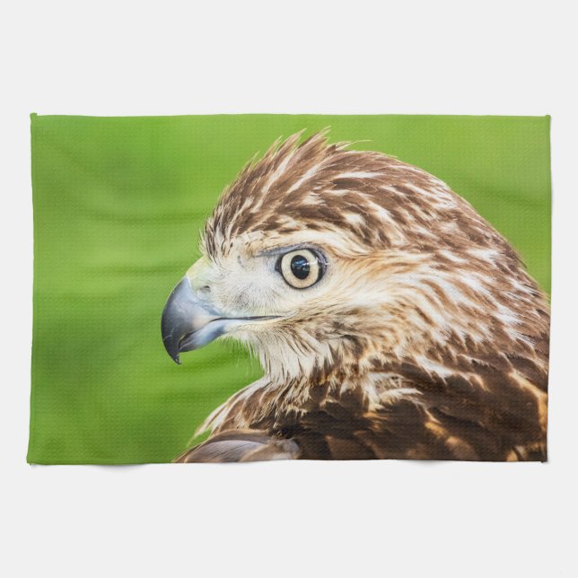 Juvenile Red Tailed Hawk Towel (Horizontal)