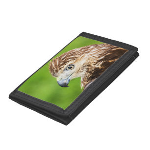 Juvenile Red Tailed Hawk Tri-fold Wallet