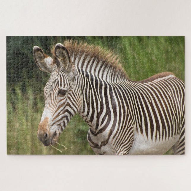 Juvenile Zebra Jigsaw Puzzle (Horizontal)