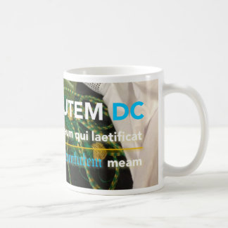 Juventutem DC mug