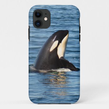 K27 Orca Spyhop Iphone 5/5s Case by OrcaWatcher at Zazzle