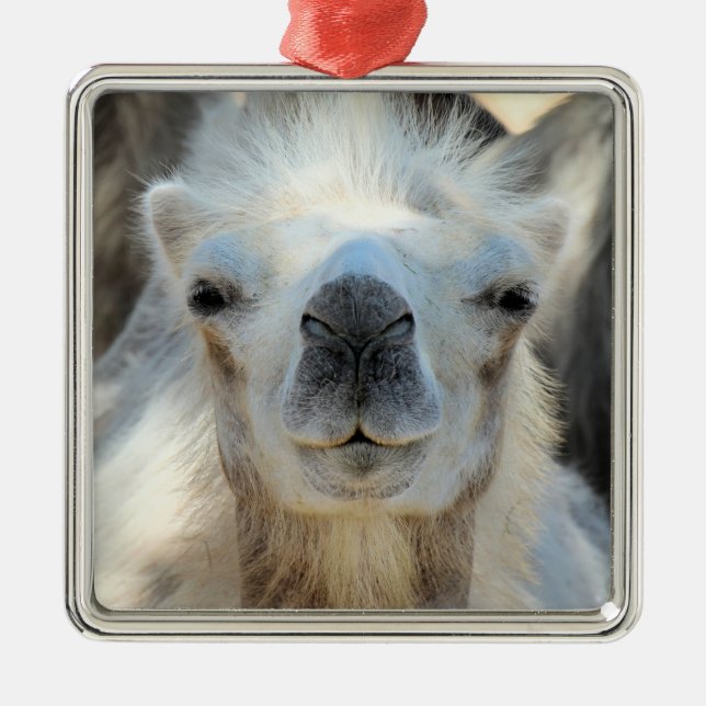 K2 Ceramic Ornament (Front)