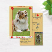 K9 comforters therapy dog (Desk)