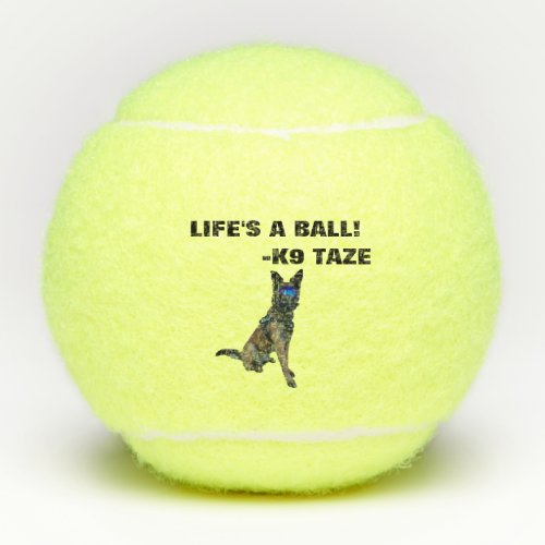 K9 Taze ball