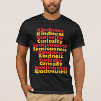 K C S - Kindness Curiosity Spaciousness T-Shirt