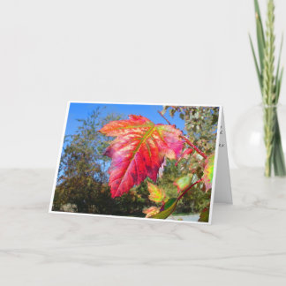 K&K - Sympathy Card