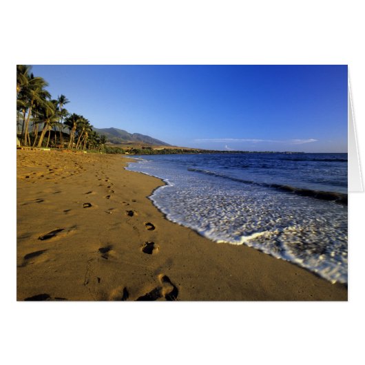 Kaanapali beach, Maui, Hawaii, USA (Front Horizontal)