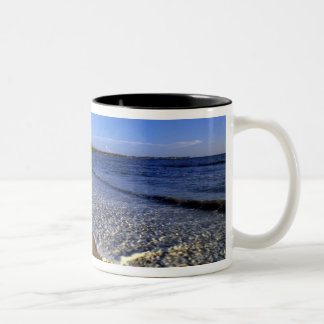 Kaanapali beach, Maui, Hawaii, USA Two-Tone Coffee Mug