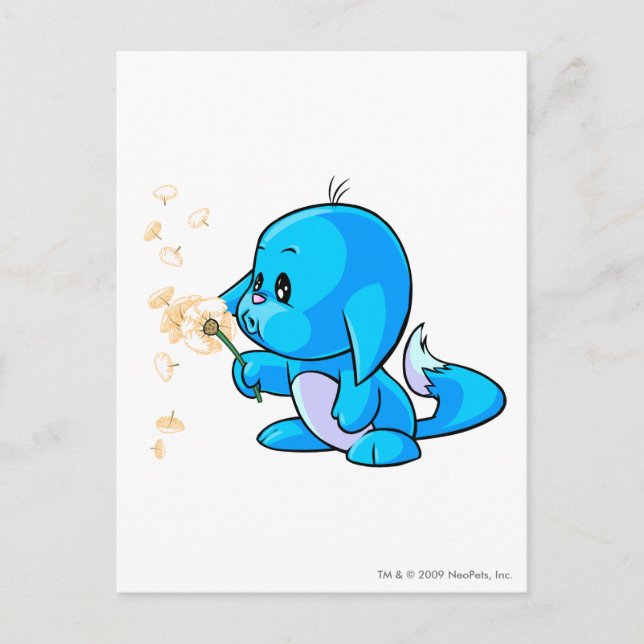 Kacheek Blue Postcard (Front)