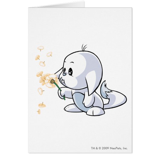 Kacheek White Cards (Front)