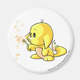 Kacheek Yellow Magnet