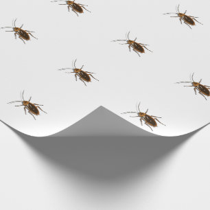 Kafka Wrapping Paper