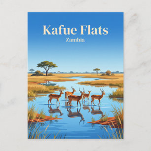 Kafue Flats, Blue Lagoon National Park Zambia Postcard