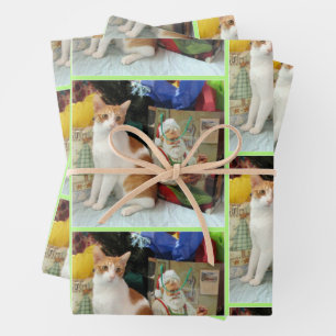Kagan's Christmas Gifts - Cat / Kitten Wrapping Paper Sheets
