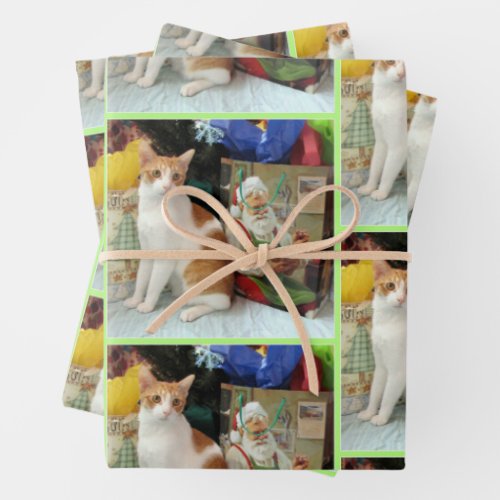 Kagans Christmas Gifts _ Cat  Kitten  Wrapping Paper Sheets