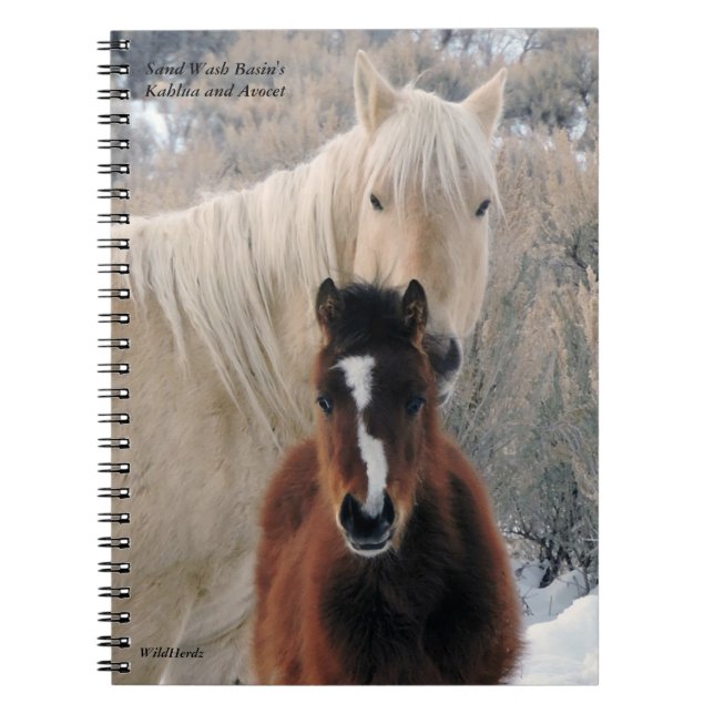 Kahlua and Avocet from Sand Wash Basin Notebook (Front)