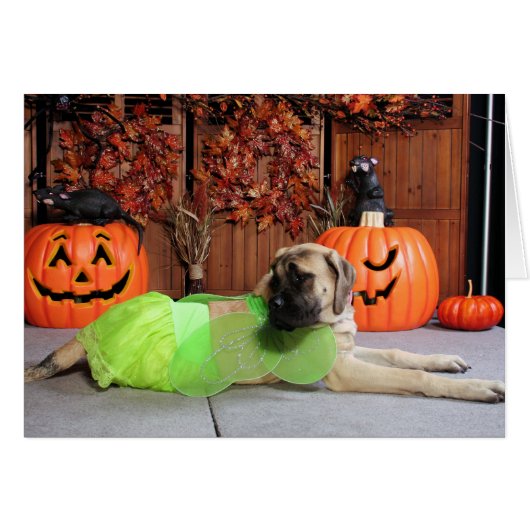 Kahlua - English Mastiff - Phiathep Cards (Front Horizontal)