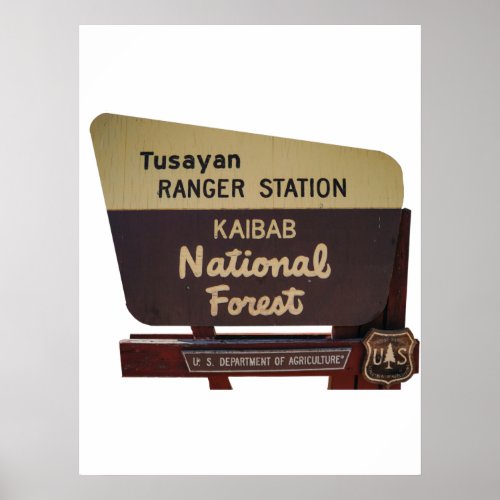 Kaibab National Forest Postcard Poster