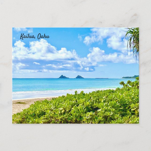 Kailua, Oahu  Postcard (Front)