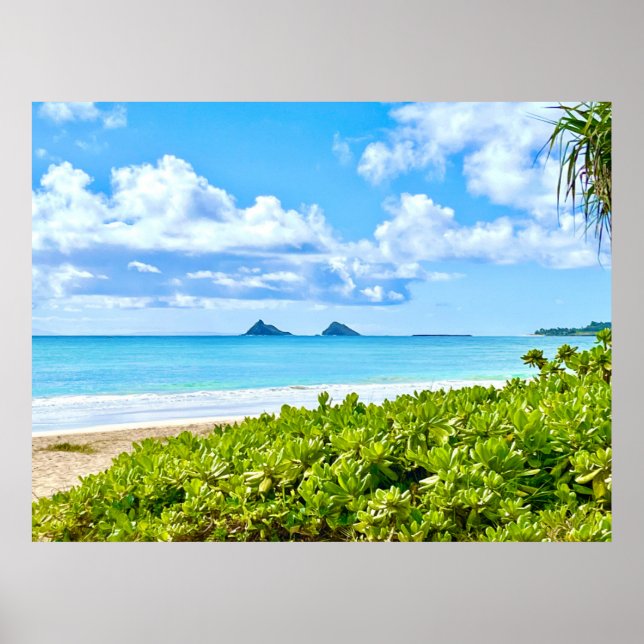 Kailua, Oahu   Poster (Front)