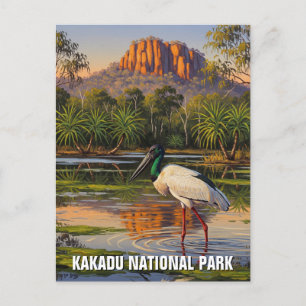 Kakadu National Park Australia Postcard