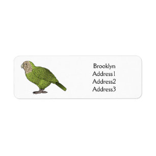 Kakapo bird cartoon illustration label