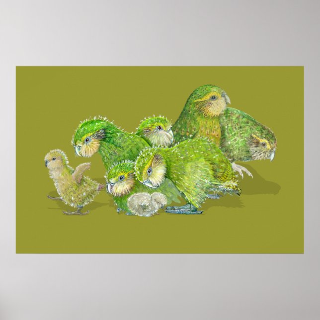 Kakapo Chick Creche Poster (Front)