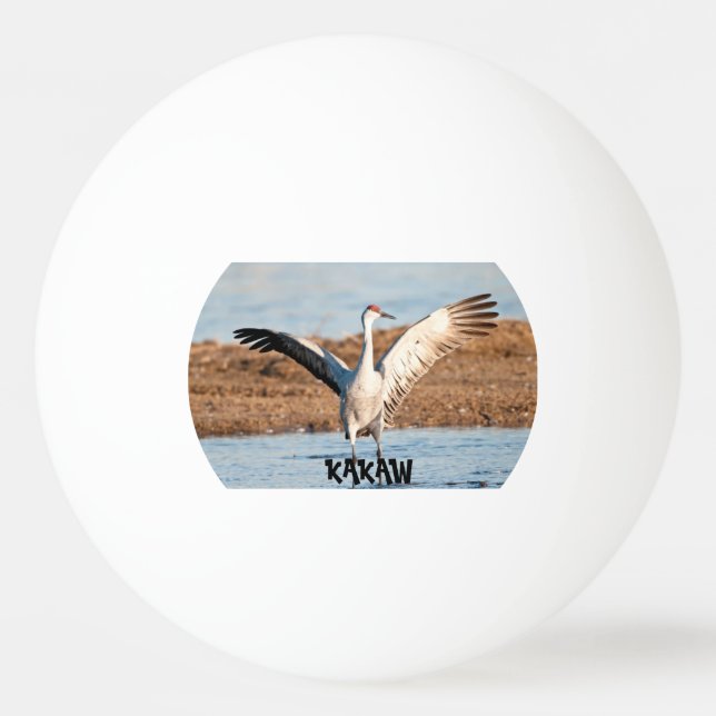 KAKAW Ping Pong Ball (Front)