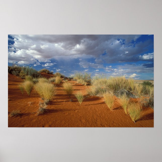 Kalahari Desert Scene, Kgalagadi Transfrontier 2 Poster (Front)