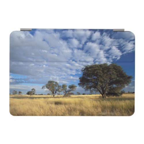 Kalahari Desert Scene Kgalagadi Transfrontier iPad Mini Cover