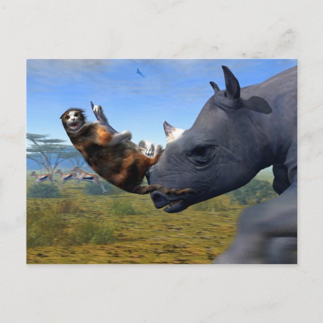 Kalahari Express Postcard (Front)