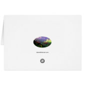 Kalalau Coast Cards (Back Horizontal)