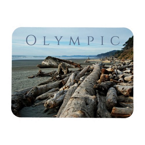 Kalaloch Beach Driftwood Olympic National Park Magnet