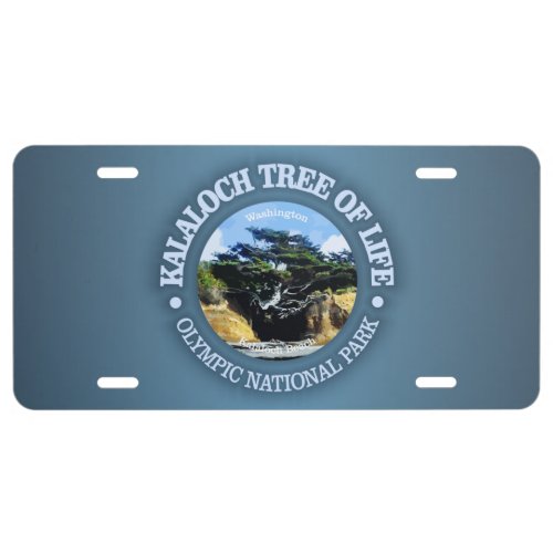 Kalaloch Tree of Life License Plate