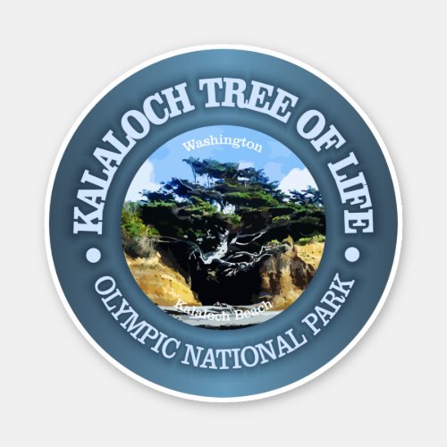 Kalaloch Tree of Life Sticker